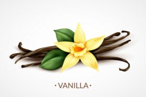 Quels sont les bienfaits de la vanille ?